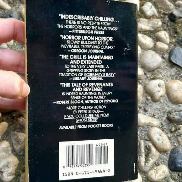 Vintage JULIA by Peter Straub Horror Ghost Paperback Book Novel 1975 - Picture 3 of 8